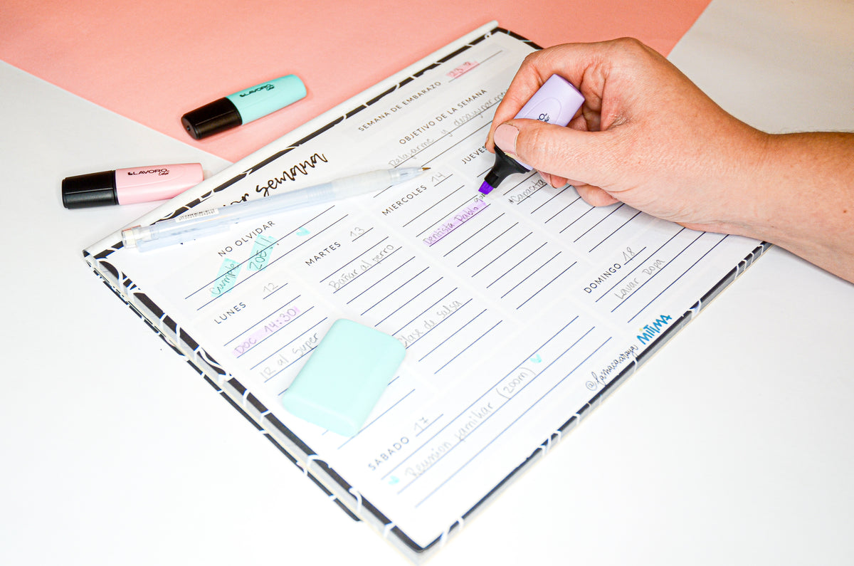 Planner Maternal de REGALO